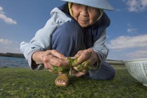 What's the secret to a long life?